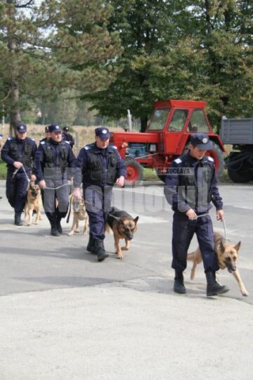Demonstrație: Jefuitori înarmați și un evadat, prinși de jandarmi