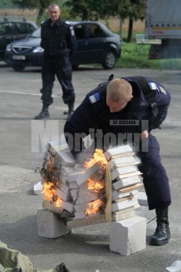 Demonstrație: Jefuitori înarmați și un evadat, prinși de jandarmi