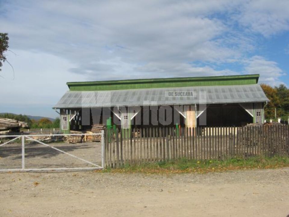 1. Unitatea unde și-a desfășurat activitatea Guadagno Raffaele