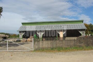 1. Unitatea unde și-a desfășurat activitatea Guadagno Raffaele