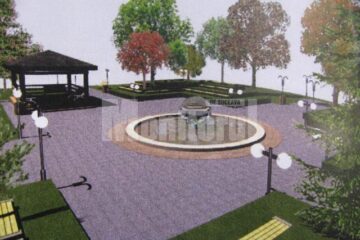 Protest: PSD amenință cu acțiuni de protest dacă se vor tăia copaci din parcul central al Sucevei