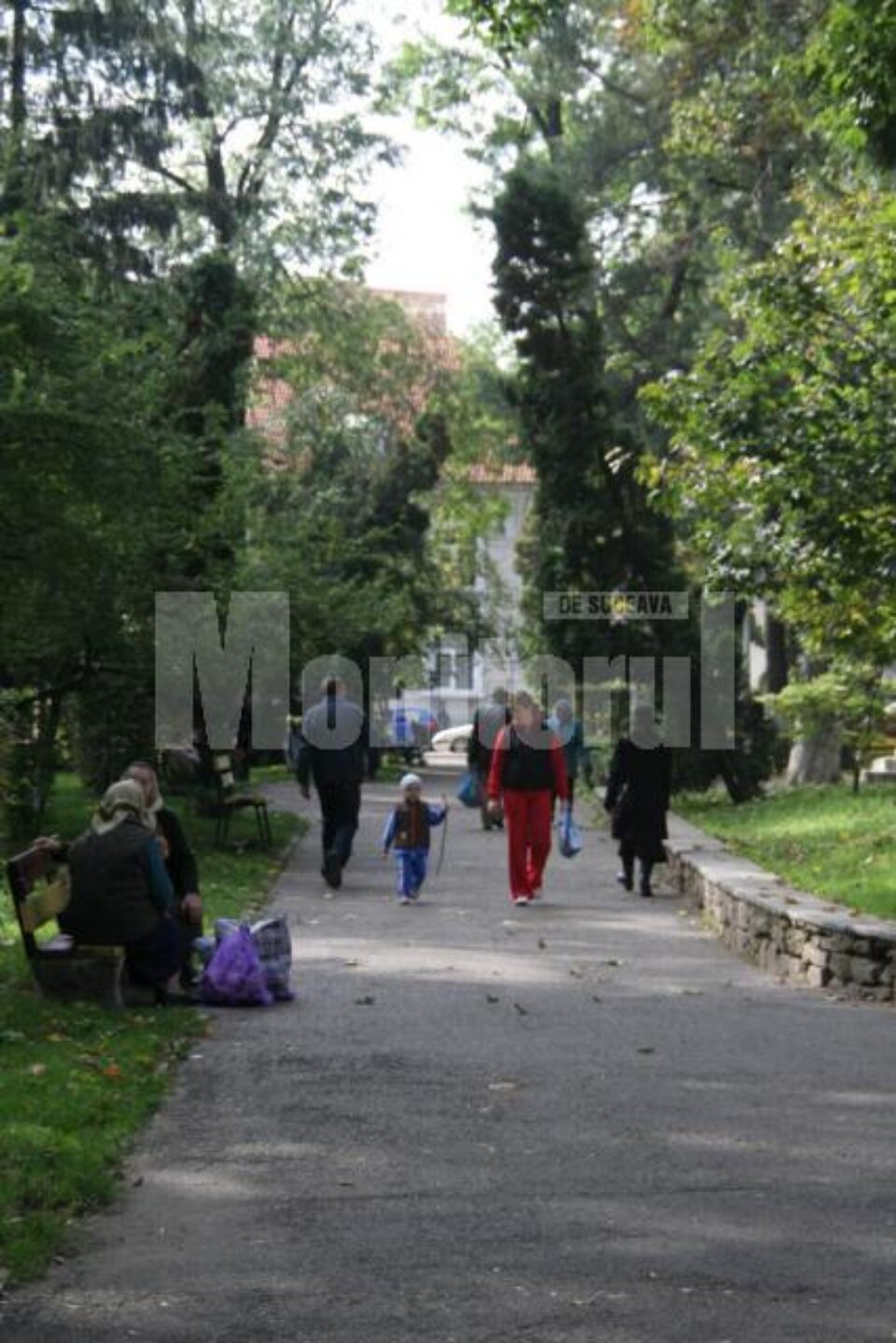 Promisiune: Trei-patru arbori, prețul “verde” al modernizării Parcului Central