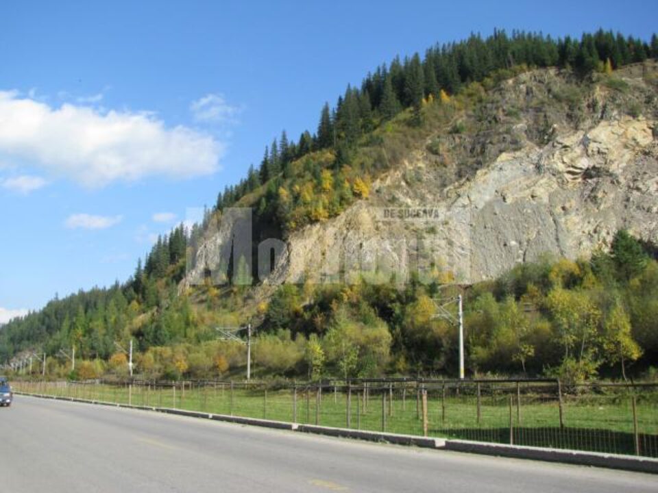 Versantul din Pojorâta Versantul din Pojorâta