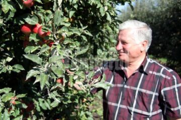 Ion Florea: „Mărul are o frumusețe aparte. Mereu m-am ocupat de cultivarea lui și nici nu aș putea face altceva”