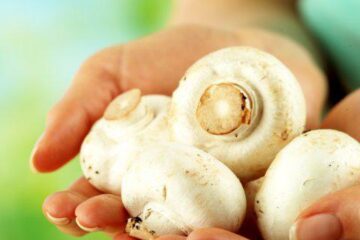 Ciupercile, un superaliment. Foto: Food and Drinks