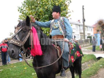 Stai așa, trece fanfara!