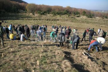 Voluntari care au participat la acțiunea de împădurire a unui deal din Udești