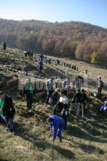 Acțiune ecologică: Președintele Băsescu a plantat câte un salcâm pentru fiecare membru al familiei sale