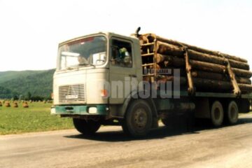 În tot județul: Amplă acțiune de control pe linie silvică, în trafic și la gatere