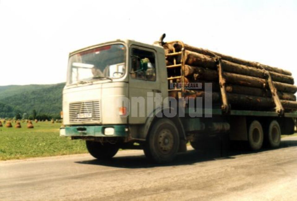 În tot județul: Amplă acțiune de control pe linie silvică, în trafic și la gatere