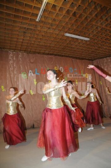 Concurs: „Balul bobocilor”, la Grupul Școlar Dumbrăveni