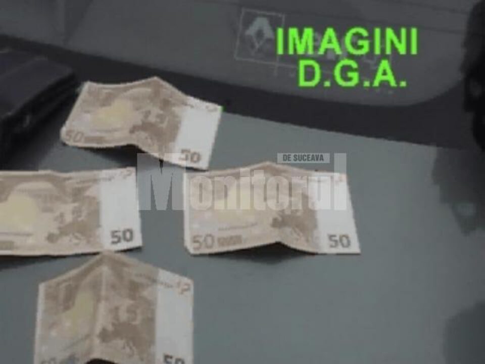 Cei 200 de euro primiti de instructorul auto