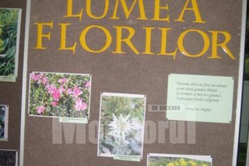 Expo Lumea Florilor Expo Lumea Florilor