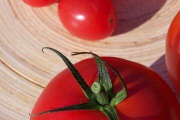 Licopenul poate fi folosit în tratamentul endometriozei sau fibromului uterin. Foto: Andrea Kratzenberg