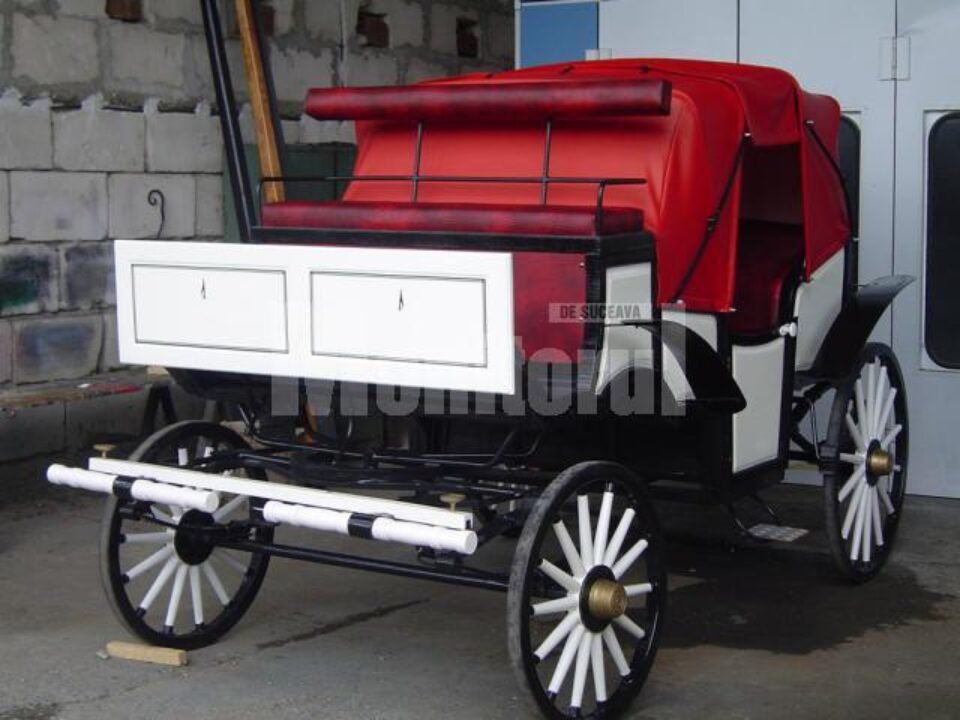 Din 28 noiembrie, plimbări cu trăsura prin Suceava Din 28 noiembrie, plimbări cu trăsura prin Suceava