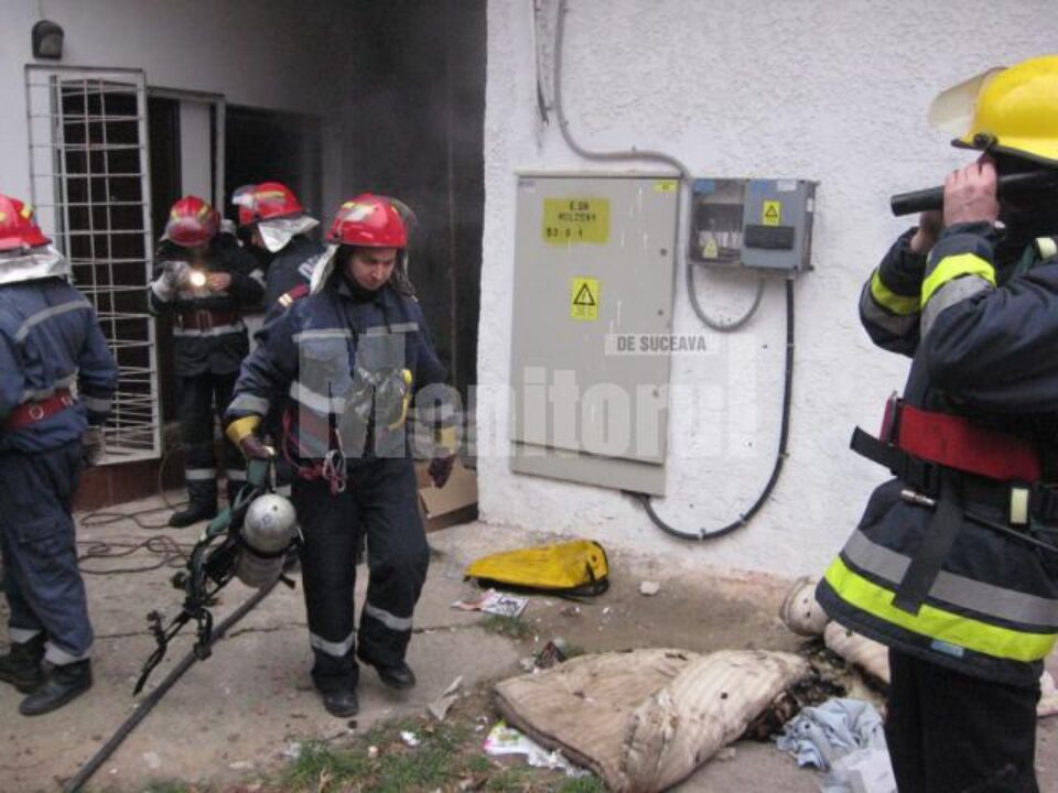 Pompierii au lichidat incendiul fără probleme