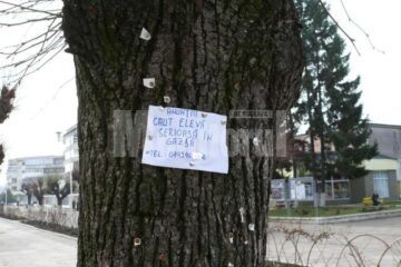 Anunțuri de genul „caut în gazdă” sau “ofer spre închiriere o cameră cu acces la dependințe” sunt tot mai dese