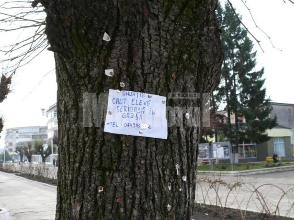 Anunțuri de genul „caut în gazdă” sau “ofer spre închiriere o cameră cu acces la dependințe” sunt tot mai dese Anunțuri de genul „caut în gazdă” sau “ofer spre închiriere o cameră cu acces la dependințe” sunt tot mai dese