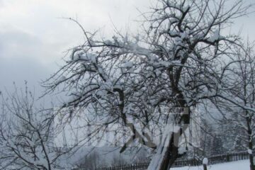 Stratul de zăpadă ajunge, în județ, până la 22 de centimetri