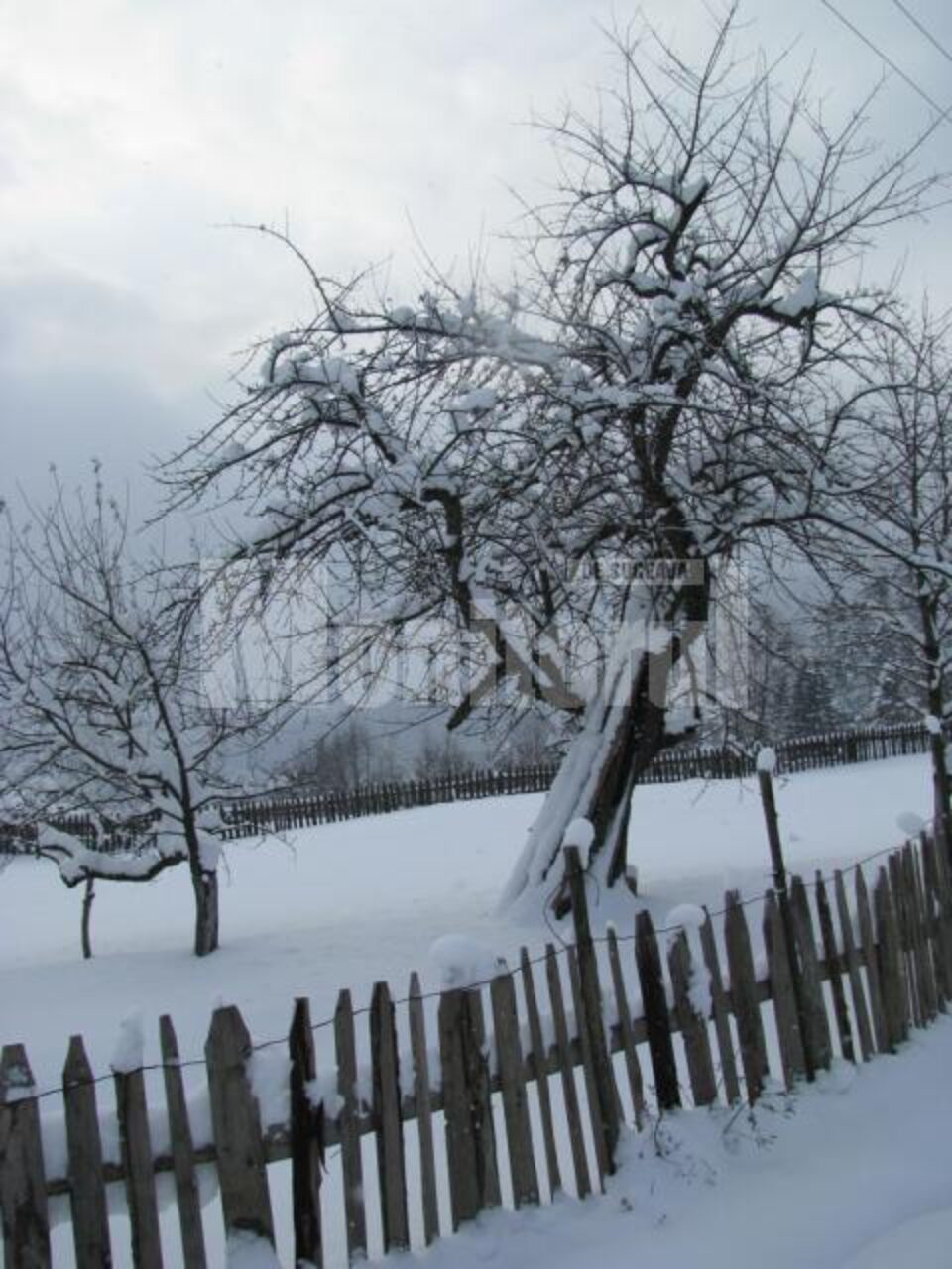 Stratul de zăpadă ajunge, în județ, până la 22 de centimetri