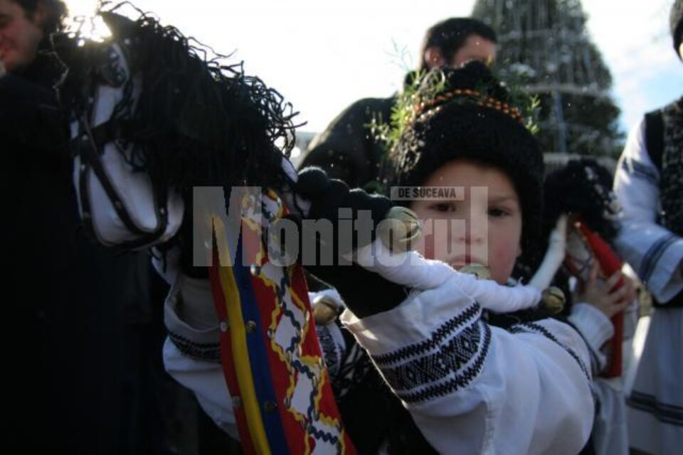 Membru al grupului de căiuți din Buda-Zvoriștea