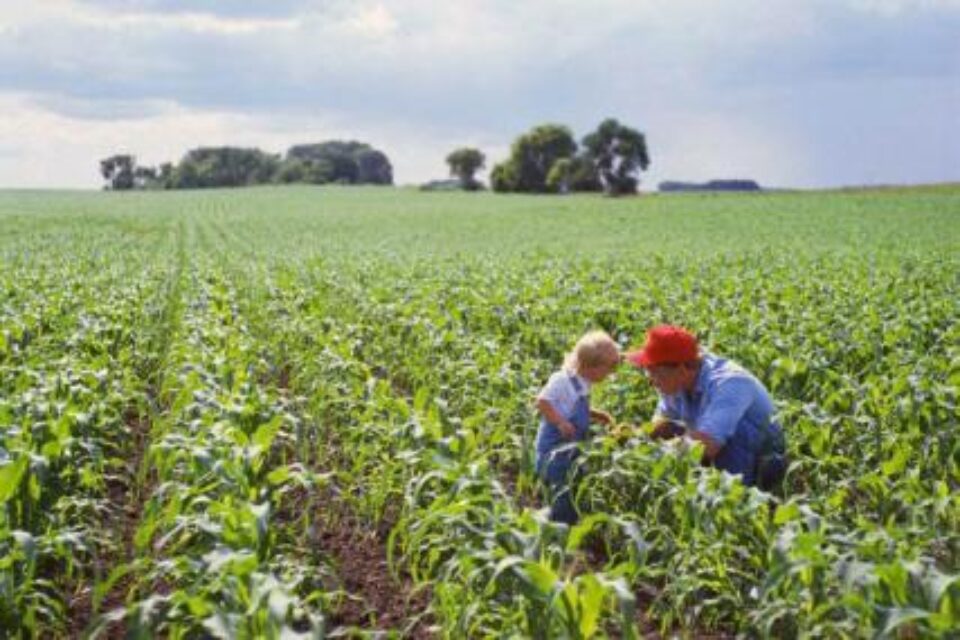 Condițiile de obținere a primei pentru tinerii agricultori sunt greu de îndeplinit. Foto: CORBIS