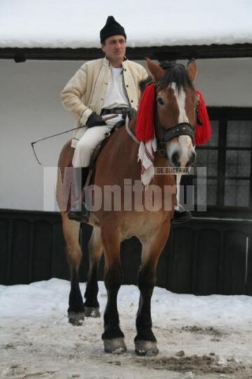 Ospitalitate: Udrea, plimbată cu sania trasă de cai la Voroneț