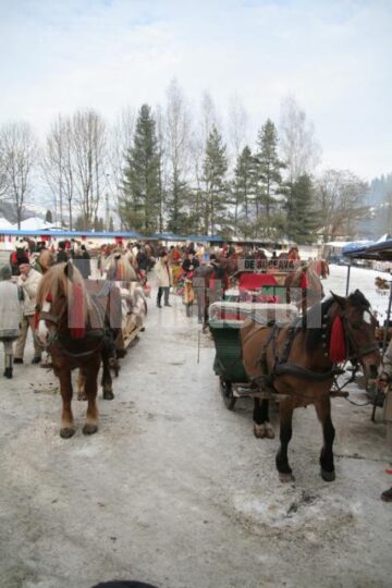 Ospitalitate: Udrea, plimbată cu sania trasă de cai la Voroneț
