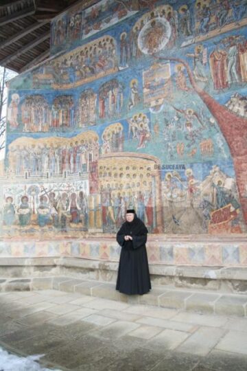 Ospitalitate: Udrea, plimbată cu sania trasă de cai la Voroneț