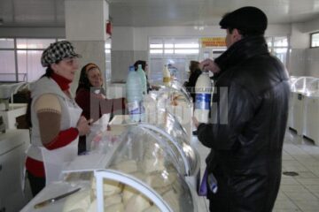 Pentru a putea să comercialezeze lapte care să nu reprezinte pericol pentru sănătatea populației, crescătorii, trebuie să îl păstreze la temperaturi optime