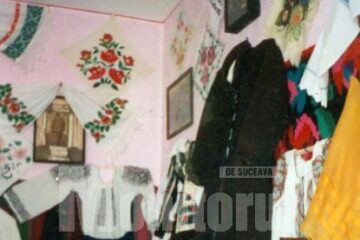 Muzeul Satului din Dumbrăvița găzduiește peste 500 de obiecte etnografice, care oglindesc modul de viață al oamenilor din aceste ținuturi