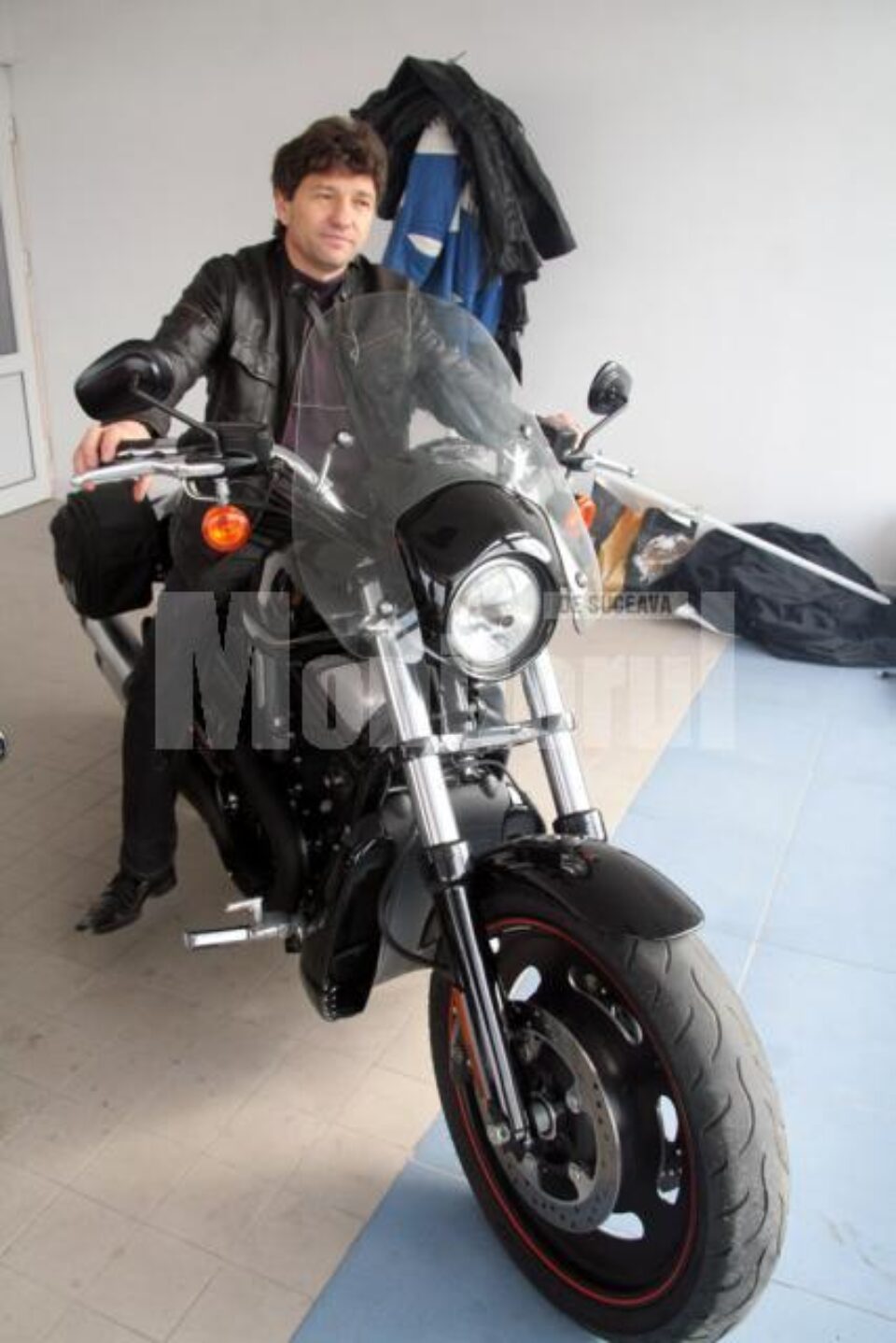 Scheul pe Harley Scheul pe Harley