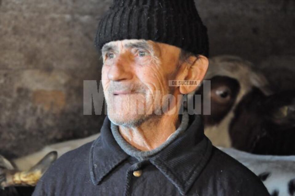 Ilie Colibaba e mândru de văcuța care i-a fătat trei viței