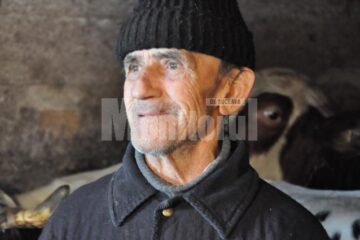 Ilie Colibaba e mândru de văcuța care i-a fătat trei viței