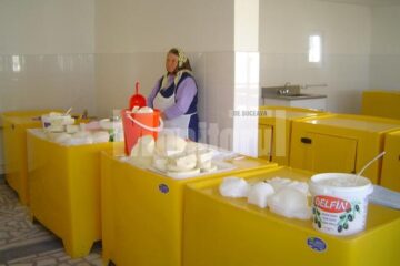 Producătorii vor fi obligați în continuare să eticheteze produsele