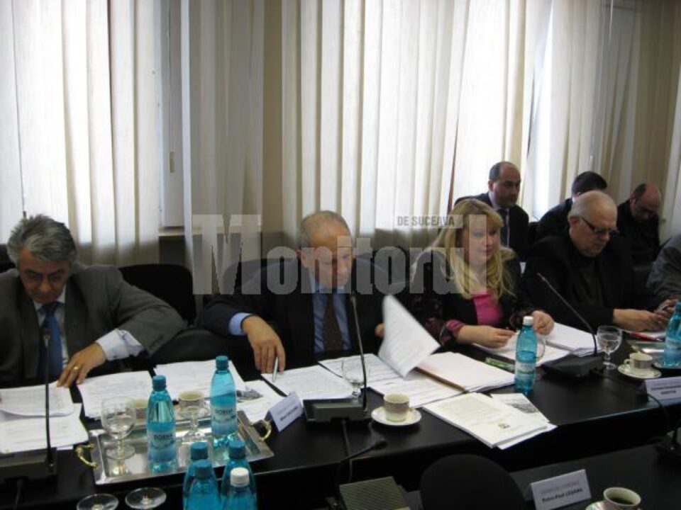 Consilierii PSD au votat împotriva anulării personalității juridice la cinci centre de protecție socială pentru persoane adulte Consilierii PSD au votat împotriva anulării personalității juridice la cinci centre de protecție socială pentru persoane adulte