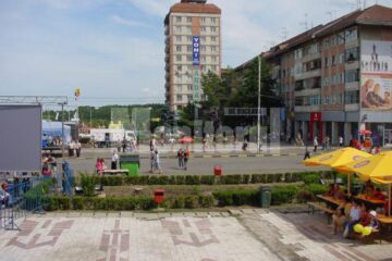 Afacere: Oul de Cartea Recordurilor, scos la licitație
