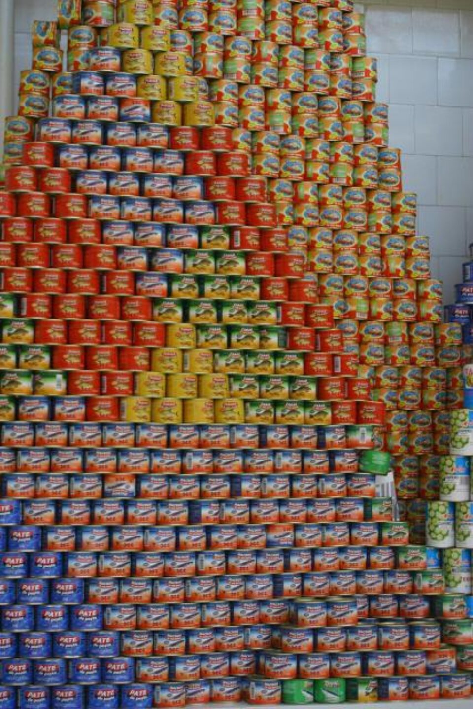 Inspectorii DSV au pus sechestru pe 5.246 de cutii de conserve de pește Foto: MEDIAFAX Inspectorii DSV au pus sechestru pe 5.246 de cutii de conserve de pește Foto: MEDIAFAX