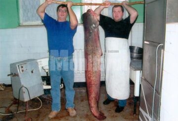 Capturile lui Dan Lohănel