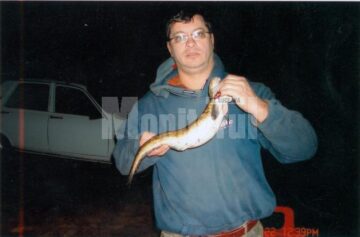 Capturile lui Dan Lohănel