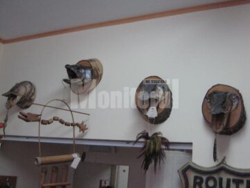 Capturile lui Dan Lohănel