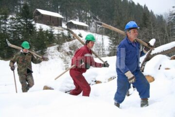 Îmblânzitorii de arbori, în frunte cu Gică Rusu