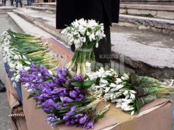 De 8 martie, Fălticeniul a redevenit orașul florilor