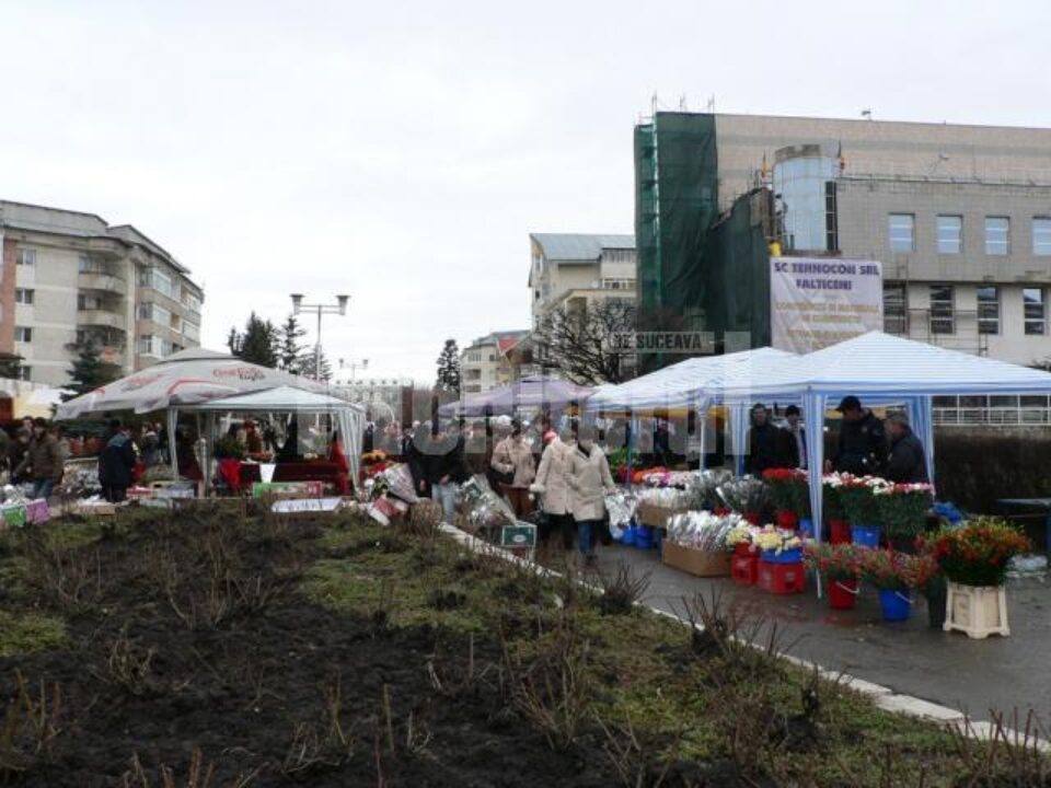 De 8 martie, Fălticeniul a redevenit orașul florilor
