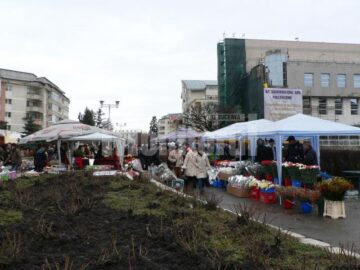 De 8 martie, Fălticeniul a redevenit orașul florilor