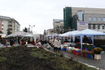 De 8 martie, Fălticeniul a redevenit orașul florilor