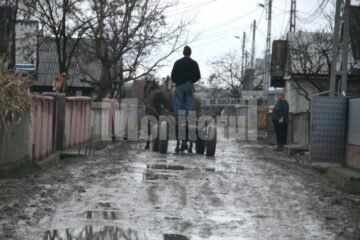 Integrare: Din căruța cu coviltir visează la facultatea de medicină