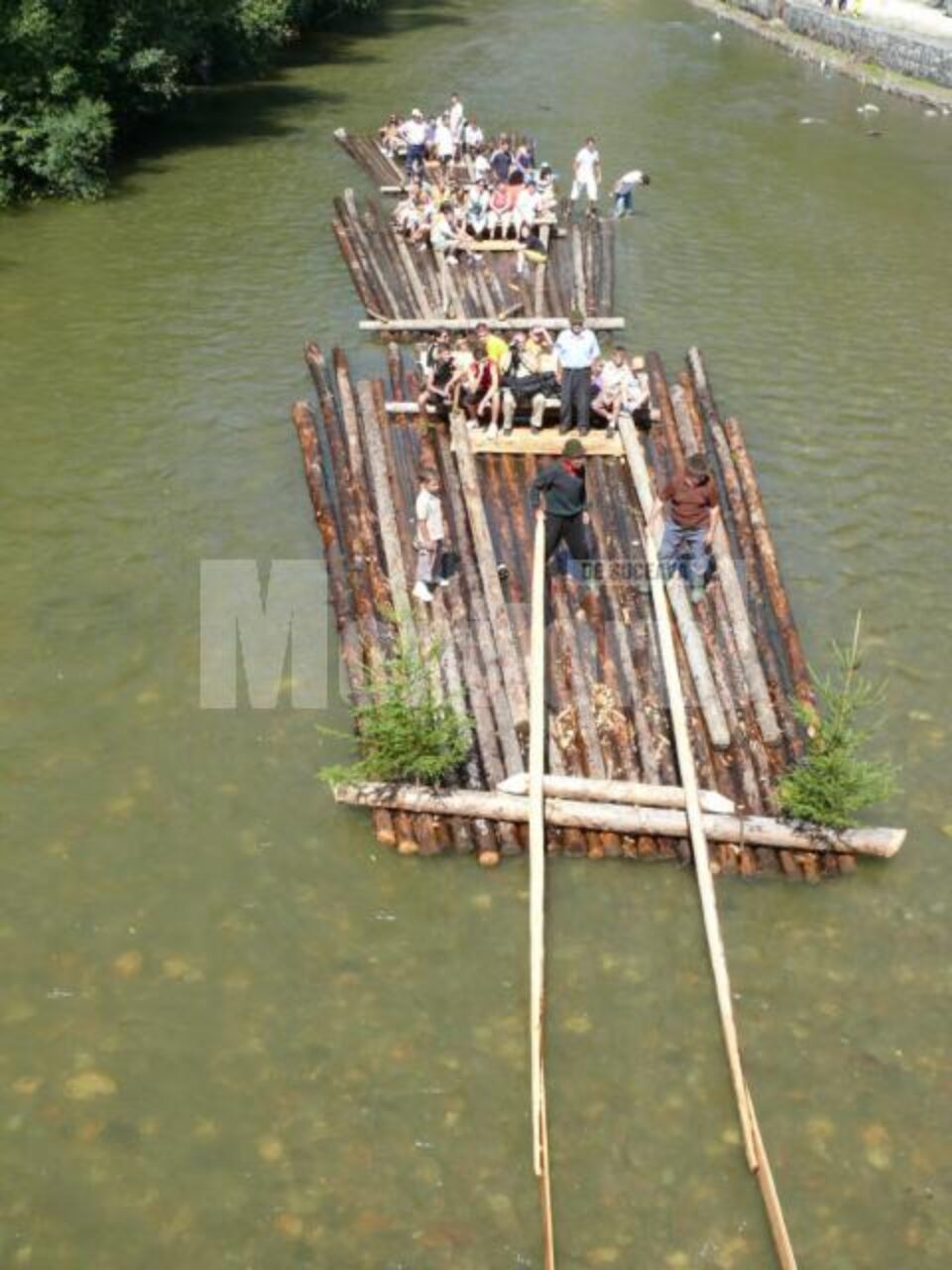 Plutărit pe Bistrița Aurie