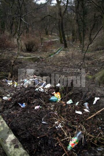 Șipote, pata neagră de pe obrazul unui oraș întreg, fie că vorbim de autorități sau de oameni de rând.
