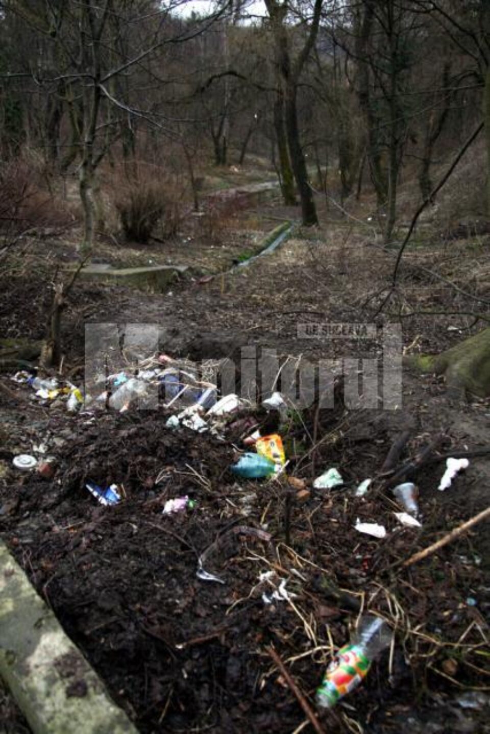 Șipote, pata neagră de pe obrazul unui oraș întreg, fie că vorbim de autorități sau de oameni de rând. Șipote, pata neagră de pe obrazul unui oraș întreg, fie că vorbim de autorități sau de oameni de rând.